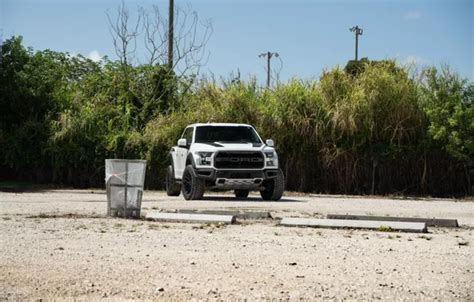 Download wallpaper Raptor, White, F-150, section ford in resolution ...