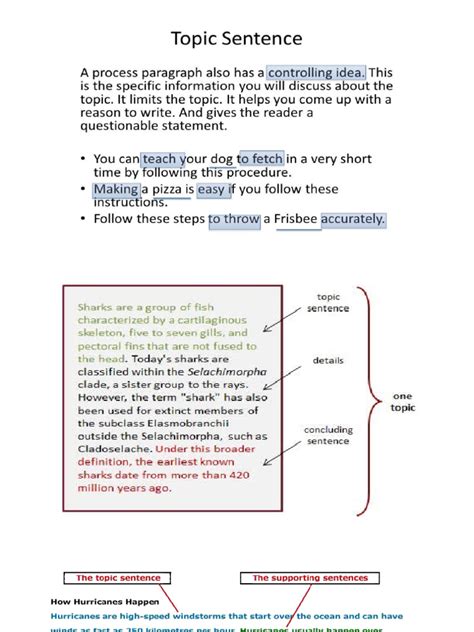 Image result for Examples of a Paragraph