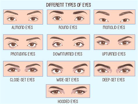 Eye Shape Chart For Makeup