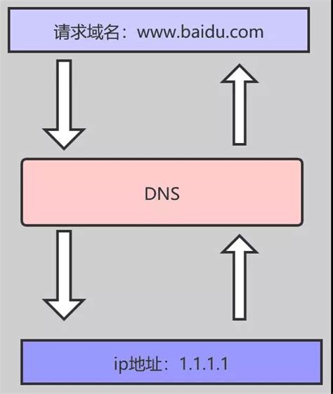 Was ist ein DNS-Server? Funktionsweise im Überblick - IONOS AT