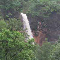 RADHANAGARI WILDLIFE SANCTUARY (2026) All You Need to Know BEFORE You ...