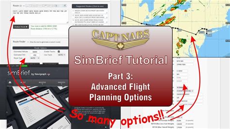 Simbrief Tutorial 的图像结果