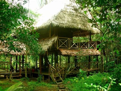 Allpahuayo Mishana Bed & Trees (Iquitos) - 2021 What to Know Before You ...