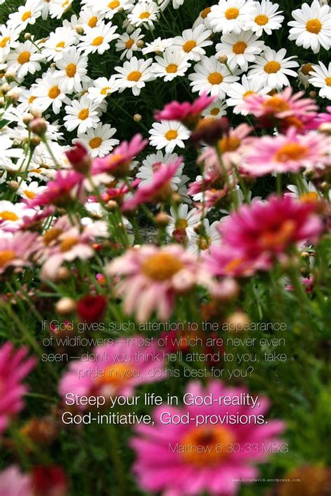 God Ops Character Admin Room 的图像结果