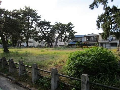 MOMOCHI GENKOBORUI BULWARK (2025) All You Need to Know BEFORE You Go ...