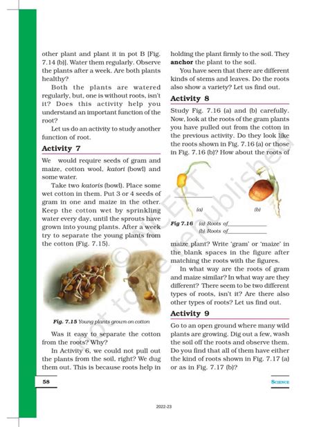 Image result for Class 6 Science Chapter 7 Book