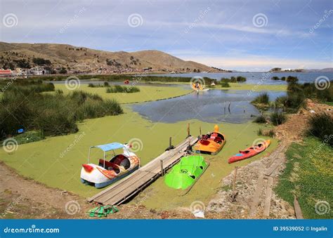 Duckweed in Polluted Lake Titicaca Coast, Puno, Peru, South America ...