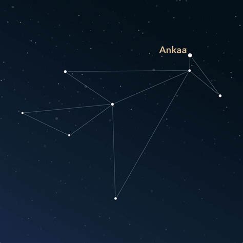 Constellation Phoenix | Interesting Information