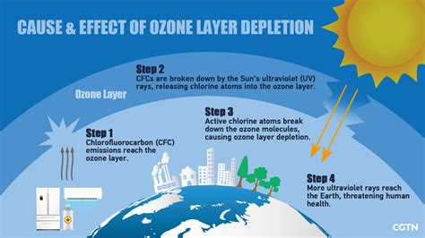 Effects Of Ozone Layer Depletion On Animals