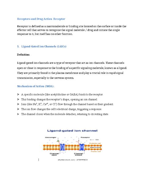 Receptors and Drug Action: Key Mechanisms Overview for Recepto 1 - Studocu