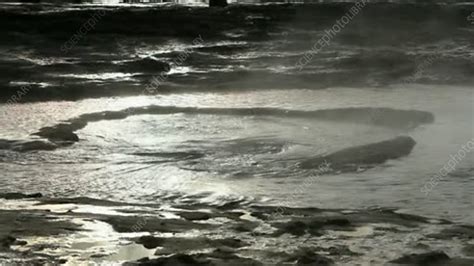 Image result for Geyser Science