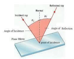 State the two laws of reflection of light and draw well labelled ...