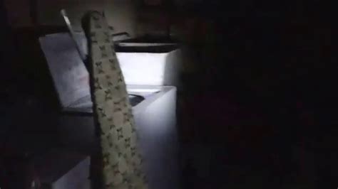 Alien On Video 的图像结果