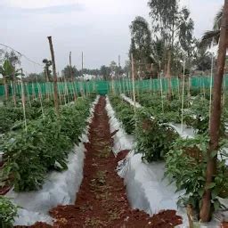 Best Top Rated Supermarket in Khupire, Maharashtra, India | Yappe.in