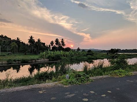 Shivanasamudram Conservation: Protecting Cauvery's Fish Sanctuary Ecosystem