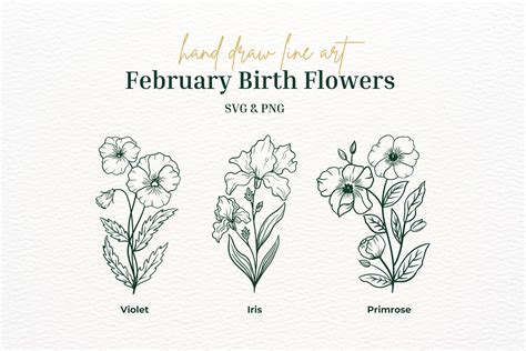 February Birth Flower Drawing February Violet And January Snowdrop