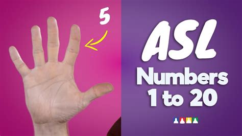 Image result for ASL Numbers