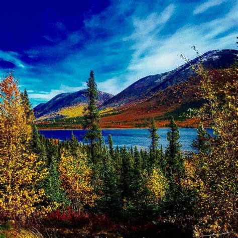 Coldfoot Tourism (2024): All You Need to Know Before You Go