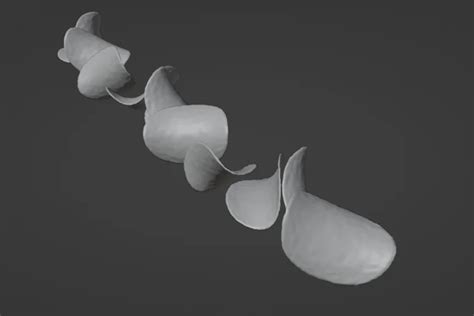 Array Object Offset Blender 的图像结果