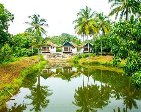 MANGO VILLAGE (Kollengode) - Lodge Reviews, Photos, Rate Comparison ...