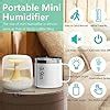 Image result for Mini Humidifier with Thermostat Control