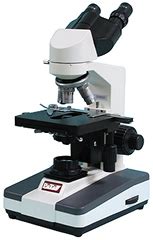 Big Microscope 的图像结果