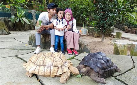 Explor Farm In The City Tickets in Selangor
