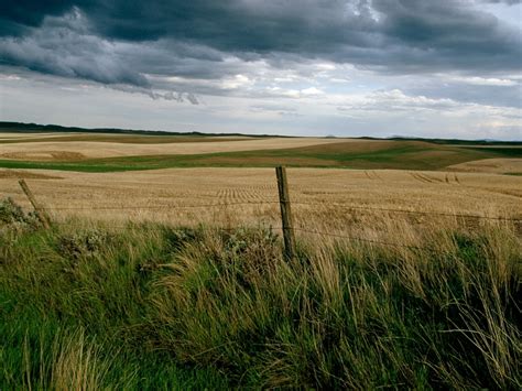 Environment Photography 的图像结果