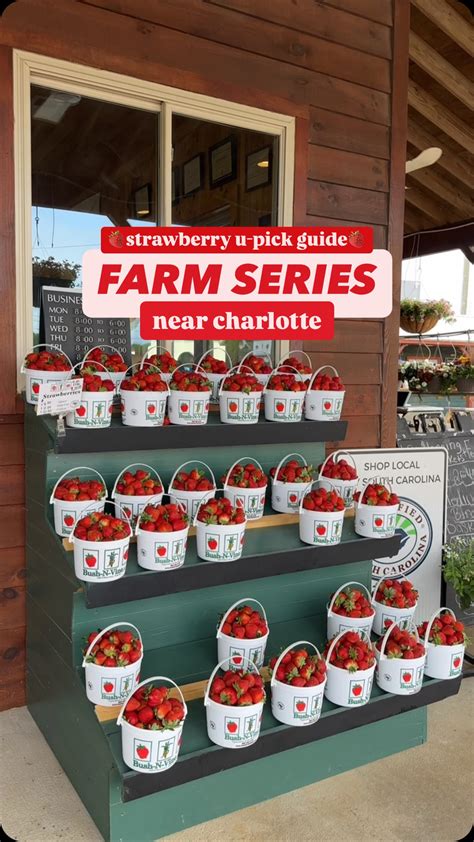 Karla Hsu | Things to do with kids in Charlotte (@charlottemama ...