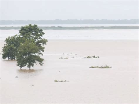 Floods in Assam claim 46 lives as situation remains critical affecting ...