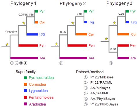 The Complete Mitogenome of Pyrrhocoris tibialis (Hemiptera ...