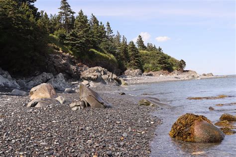 Quoddy Head State Park — My Maine