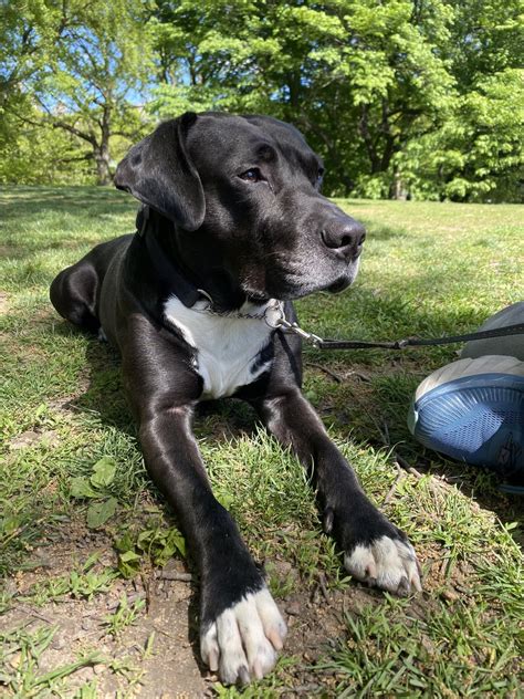 AAA Just rejected my home insurance and umbrella insurance applications ...