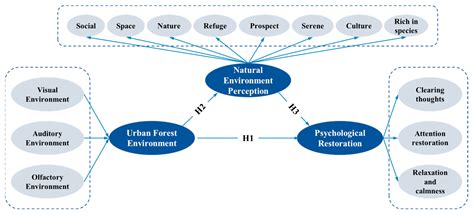 How Does the Urban Forest Environment Affect the Psychological ...
