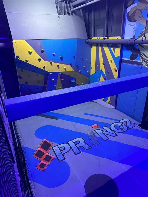 Springz Thrill Park | Zap Zone XL - Lansing
