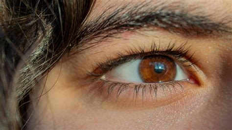 Why does my eye keep twitching?