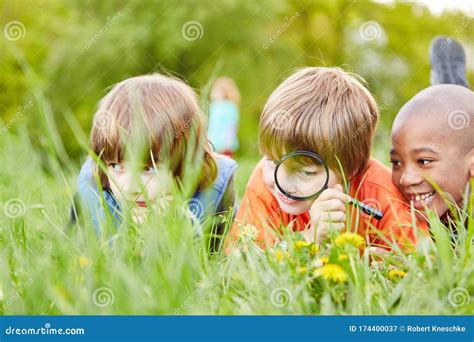 Three Kids are Exploring Nature with the Magnifying Glass Stock Image ...