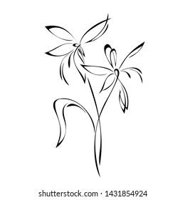 Design Drawing 的图像结果