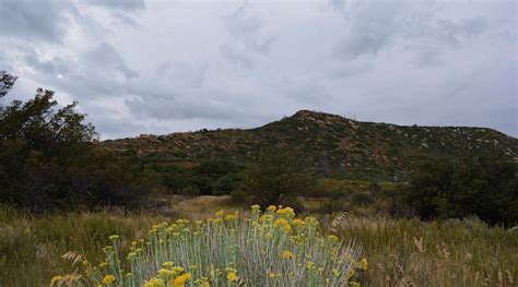 MOREFIELD CAMPGROUND (Mesa Verde National Park) - Campground Reviews ...