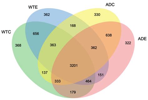 Effects of Treadmill Exercise on Gut Microbiota in Alzheimer’s Disease ...