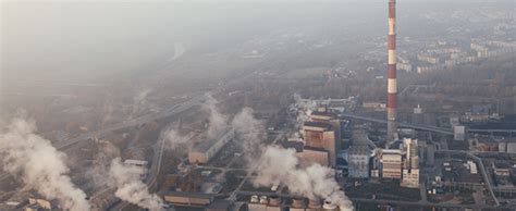 Combat Air Pollution with These 5 Foods