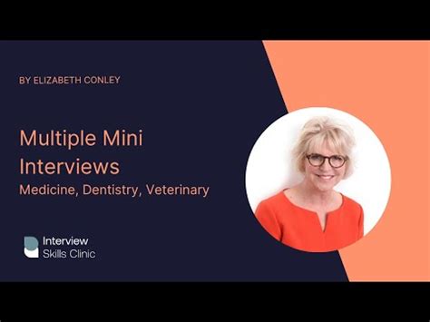 Mini Interview Example 的图像结果