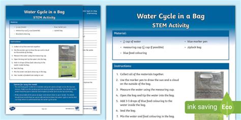 Water Cycle in a Bag STEM Activity Ι Earth & Space Sciences