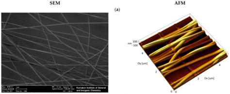 Light-to-Heat Converting ECM-Mimetic Nanofiber Scaffolds for Neuronal ...