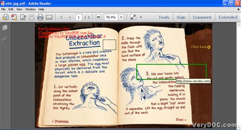 Image result for PDF Edit Hyperlink Tutorial