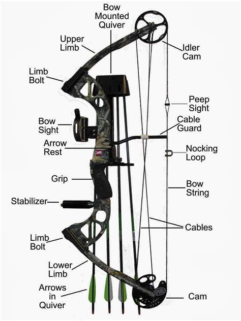 Image result for Compound Bow Arrow Chart