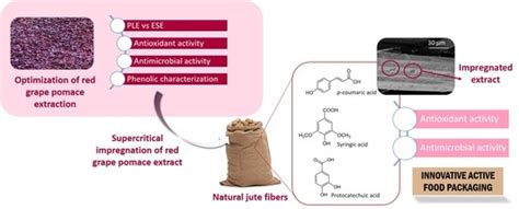 Application of a Natural Antioxidant from Grape Pomace Extract in the ...