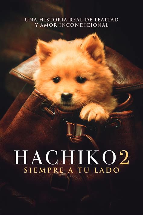 HACHIKO 2: SIEMPRE A TU LADO | Cartelera de cine en PaginasAmarillas.com.do