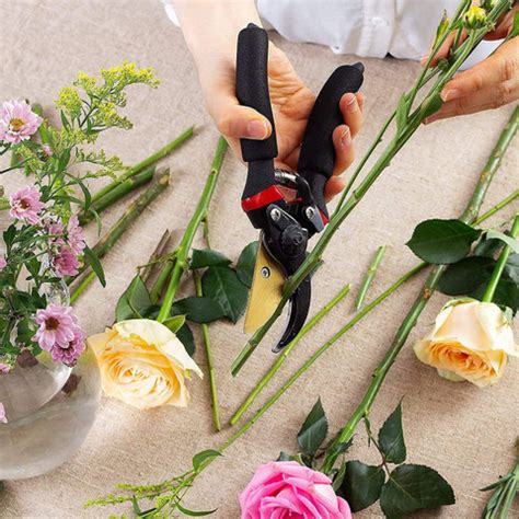 SmartCam 8 Inch Heavy Duty Plant Branch Tree Cutter with grip-handle ...