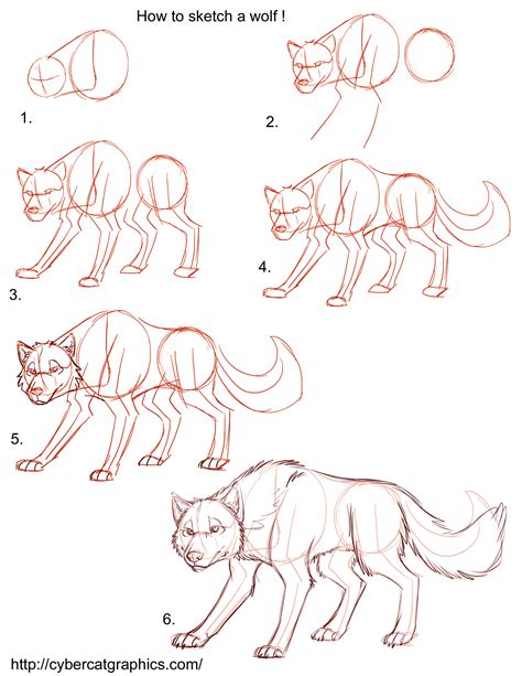 Image result for wolves drawing tutorial